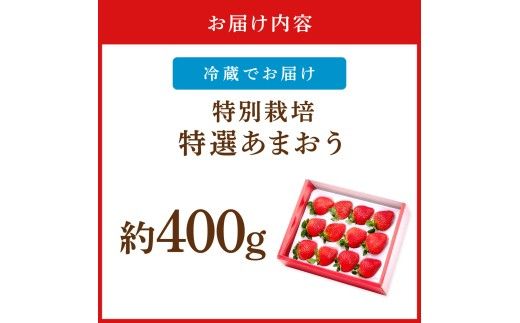 【先行予約受付中】【2026年12月以降順次発送】特別栽培特選あまおう400g【うるう農園】_AS1969-00