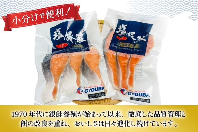 3回 定期便 塩銀鮭パック 3切×2袋×3回 総計6袋 [たみこの海パック 宮城県 南三陸町 m304amh560083] 鮭 切り身 サーモン 銀鮭 塩銀鮭 シャケ 切身 さけ サケ 国産 小分け 個包装 冷凍