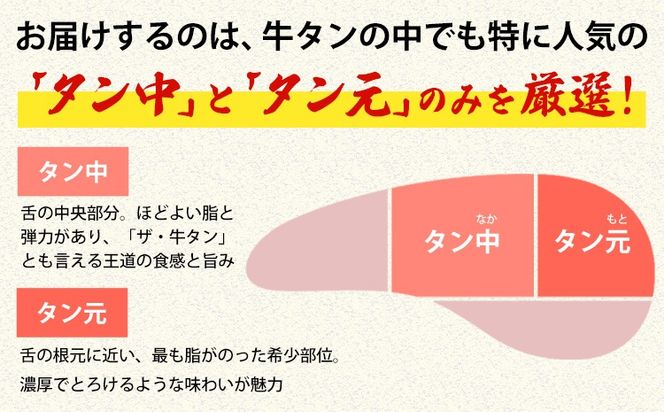 牛タン 牛肉 選べる牛タン 焼肉 塩麹 250g 500g 1kg 1.5kg《30日以内に出荷予定(土日祝除く)》熊本県 御船町 牛肉 タン たん 牛タン 塩麹 焼肉 食べ比べ 大容量 小分け 牛 牛肉たん タン中 タン元 牛タン レビュー---mifune_lcl_209_250y---