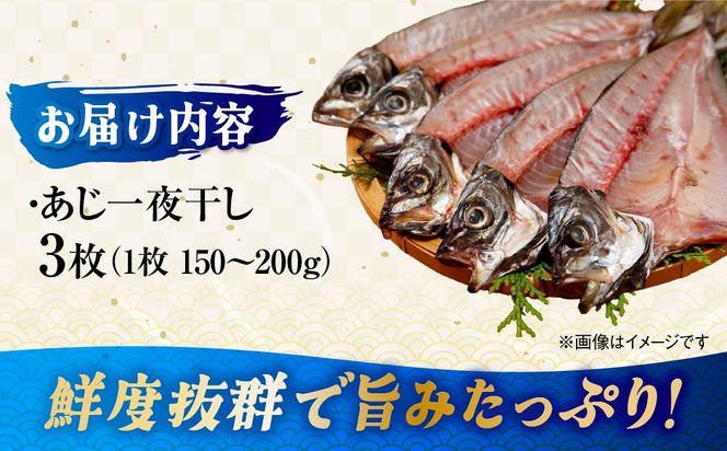 【一本釣り 匠の漁】天然三崎アジ一夜干しセット 3枚 IKTJ004