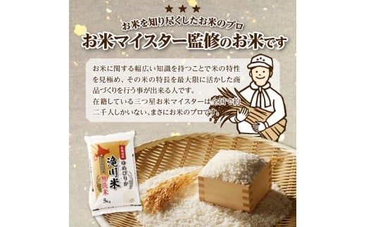 【寄附額改定】《令和8年産先行予約》【6ヵ月定期】滝川産ゆめぴりか無洗米 10kg 定期便 新米 特A 北海道 お米マイスター ブランド米 白米 精米 米 こめ コメ お米 単一米 ご飯 ごはん 生活応援 送料無料 北海道産 道産 おすすめ 人気 限定 贈答 予約
