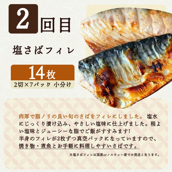 【定期便 全3回】魚鶴商店が選ぶ人気お魚I(銀鮭切身・サバフィレ・魚切身)_G60-T40