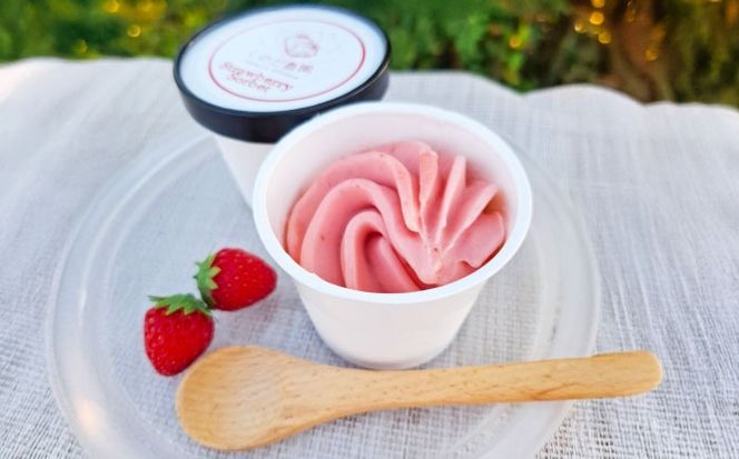 いちごソルベ いちご アイス ジェラート 愛西市 / しのだ農園-SHINODA FARM-[AECE007]