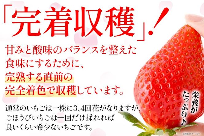 あまおう ごほうびいちご 約1kg（約250g×4パック） ＜2025年1月以降順次発送予定＞ いちご 苺 高品質 完熟 フルーツ 果物 お取り寄せ ご当地グルメ 福岡土産 取り寄せ グルメ 福岡県 食品