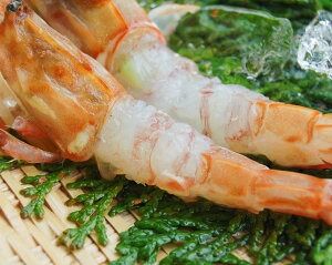 【ふるさと納税】【2ヵ月毎定期便】山陰の地エビ食べ比べコース 全3回 隔月 2ケ月毎 定期便 定期 3回 海老 えび エビ 甘エビ 甘えび ガラエビ ドロエビ モサエビ 各500g以上 合計1.5kg 刺身 刺し身【配送不可地域：離島】【4000704】 兵庫県 新温泉町 送料無料