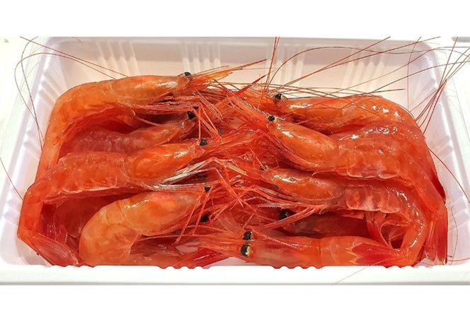 【獲れたての味！】甘エビ３００ｇ×３パックセット_Y022-0024