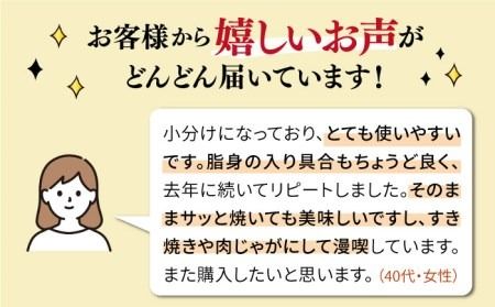 【250gの小分けパック】黒毛和牛 切り落とし 250g×4P 計1kg もも バラ ミックス A4ランク 糸島 【糸島ミートデリ工房】 [ACA031] 牛肉  和牛 小分 250  牛丼 すき焼き 焼肉 BBQ 赤身 国産 福岡