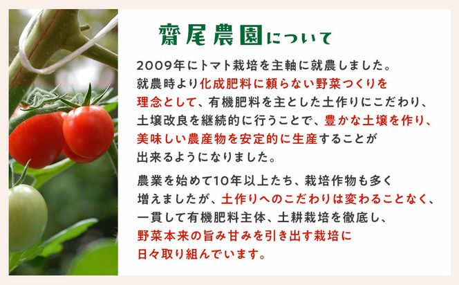347.鬼のとまと◇　※2026年6月上旬～10月下旬頃に順次発送予定 313726_AX001