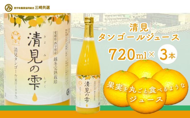 【先行予約】清見タンゴールジュース （720ml×3本）※離島への配送不可（2027年6月上旬より順次発送予定） IKTBD001