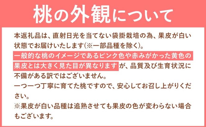 晴れの国頒布会 夏 選べる お届けコース 無洗米 5kg 10kg 20kg 白桃 1kg 1.3kg 2kg 《ページ内記載の時期に発送》岡山県 笠岡市 フルーツ 旬 果物 桃 コメ お取り寄せ---kasaoka_zsytei_364_s1---