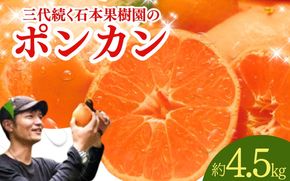 【先行予約】石本果樹園の美味しい ポンカン 約4.5kg 約20～25玉前後【2027年1月初旬から２月初旬までに順次発送予定】 / みかん フルーツ くだもの 果物 ポンカン【min001B】