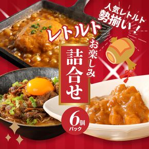 福袋 お楽しみレトルト詰め合わせ6パックセット _K16_0072_2