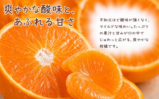 果肉ぷりぷり!完熟はるみ5kg　※2027年1月下旬頃〜2027年2月上旬頃に順次発送予定(お届け日指定不可) 【uot732A】