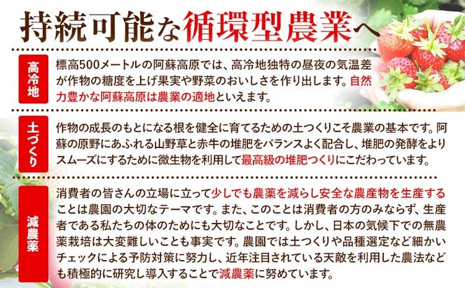 いちご ジャム 果実 ぎっしり！木之内農園の手作りいちごジャム 450g (150g×3本）　《30日以内に出荷予定(土日祝を除く)》 熊本県 南阿蘇村 イチゴ 苺 大粒---isms_kinonsb_30d_24_8000_450g---