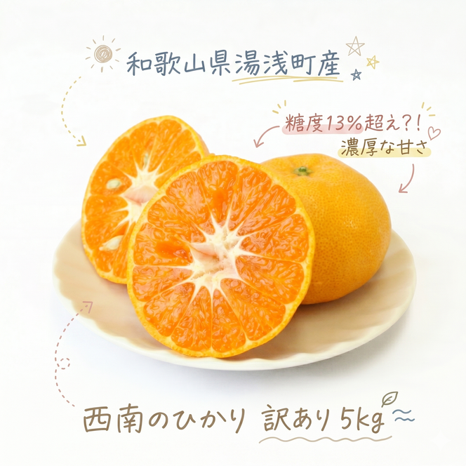 《訳あり 家庭用》西南のひかり 約5kg（S～2Lサイズ混合）_EQ6008