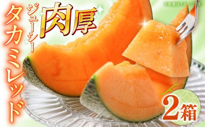 y茧쓇szy2026N5?z^J~ bh 2 i1 3`6ʁj/  ߂ t[c ʕ / 쓇s / 쓇ʕ[SCV032]