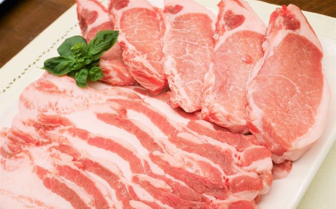 ブランド豚 “三州あおみ豚” ギフトセット 計1.3kg（ロース肉650g＆豚バラ650g） 豚肉 冷凍 H030-018