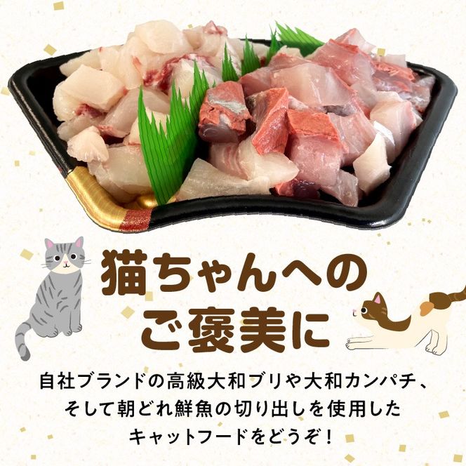 【至福の海の恵み】贅沢グルメキャットフード　N072-YA0398