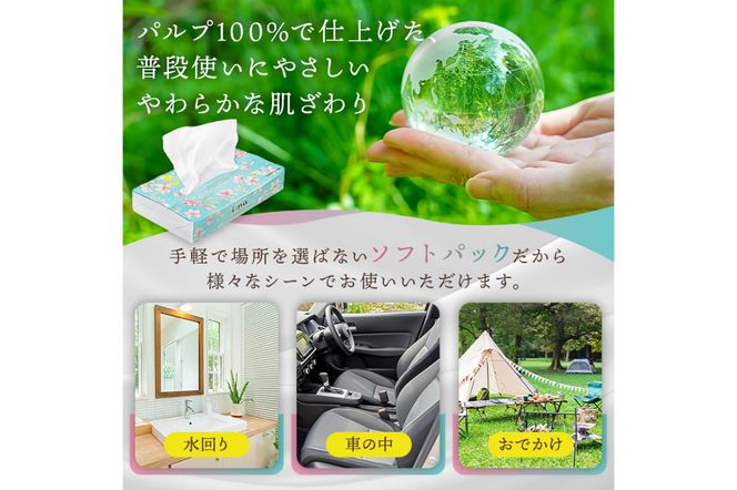 エリエール i:na（イーナ）ソフトパックティシュー　150W10P×10パック ティッシュペーパー ソフトパックティッシュ ソフトパック ティッシュ 箱なし【0095-014】