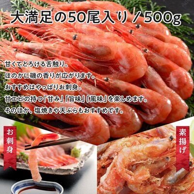 甘えび 子なし 500g 約50尾 越前甘えび えび 海老 刺身 冷凍 魚介 魚介類 海鮮 高評価