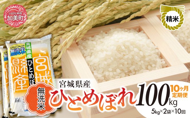 y{錧zy10ցzR7 {錧Y ЂƂ߂ڂ  10kg×10 [ {錧   ]   R  sw-hb10-mu-t10-r7