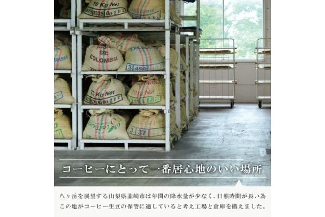 【1949年創業ロースター】 コーヒーバッグ15杯セット 3種×各5袋 計15杯分 コーヒー バッグ セット 自家焙煎 珈琲 詰め合わせ 珈琲 コーヒー エイジングコーヒー ティーバッグ [株式会社コクテール堂 山梨県 韮崎市 20745109]
