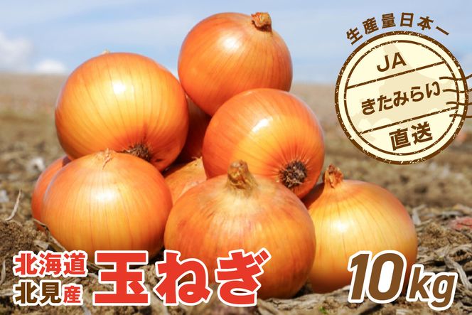 ykCkszJA݂炢Y ʂ˂ LTCY 10kg ( ^}lM ܂˂  )y210-0003z