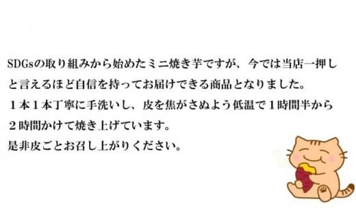 茨城県産 ミニ 焼き芋 6袋 入り イモ いも さつまいも サツマイモ さつま芋 スイーツ [CO005ci]