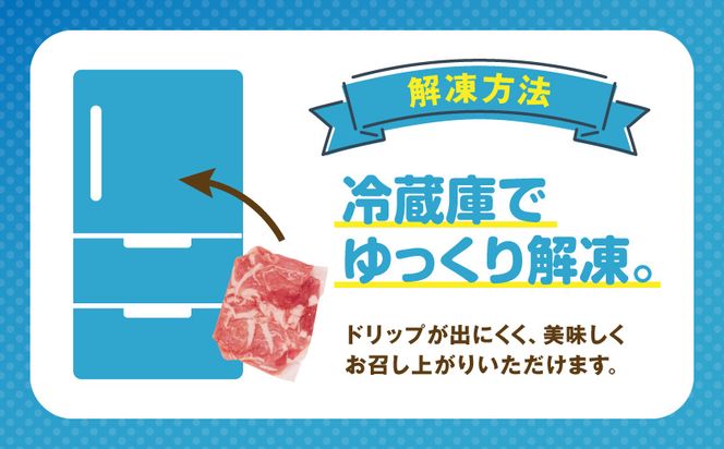国産豚肉切り落とし5kg(250g×20P)_89-008-5kg 