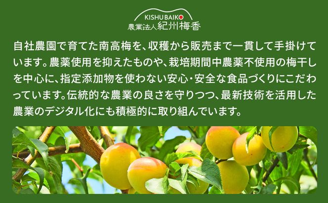 無添加梅干し ひょう被害エール規格外昔ながらの梅干し 塩のみで漬けたすっぱい梅干し 1kg（500gパック×2個） 塩分20% 20-HYO ［KU13］ 303446_ED90012