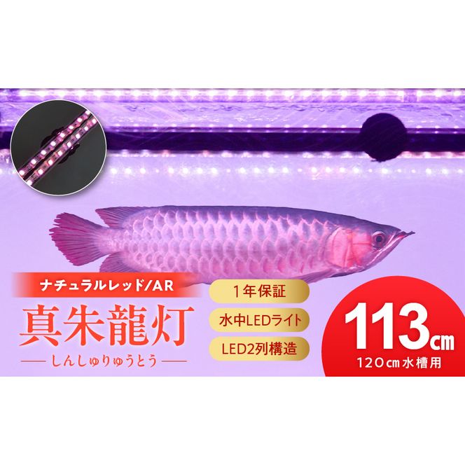 ymqszω̊!ԂAg鐅LEDCg|AR120-EXm172C19ng i`bh   Ai Cg ejOCg LED Cg Ɩ Ɩ  Y KX z 1Nۏ ȒP ݒu ł炢 CeA G m