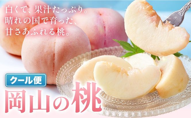 晴れの国頒布会 夏 選べる お届けコース 無洗米 5kg 10kg 20kg 白桃 1kg 1.3kg 2kg 《ページ内記載の時期に発送》岡山県 笠岡市 フルーツ 旬 果物 桃 コメ お取り寄せ---kasaoka_zsytei_364_s1---