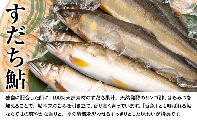 すだち鮎 12尾 冷凍 有限会社岩崎商店 《30日以内に出荷予定(土日祝除く)》│1尾あたり20～25cm 徳島県産 あゆ アユ 魚 魚介 川魚 塩焼き 甘露煮 徳島県 佐那河内村---sanagouchi_ist_2_12bi---