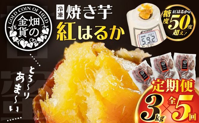 yszyS5zy̋݁zĂg͂邩3kg ց@K181-T02