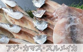 黒潮干物セット（１１枚） iz029