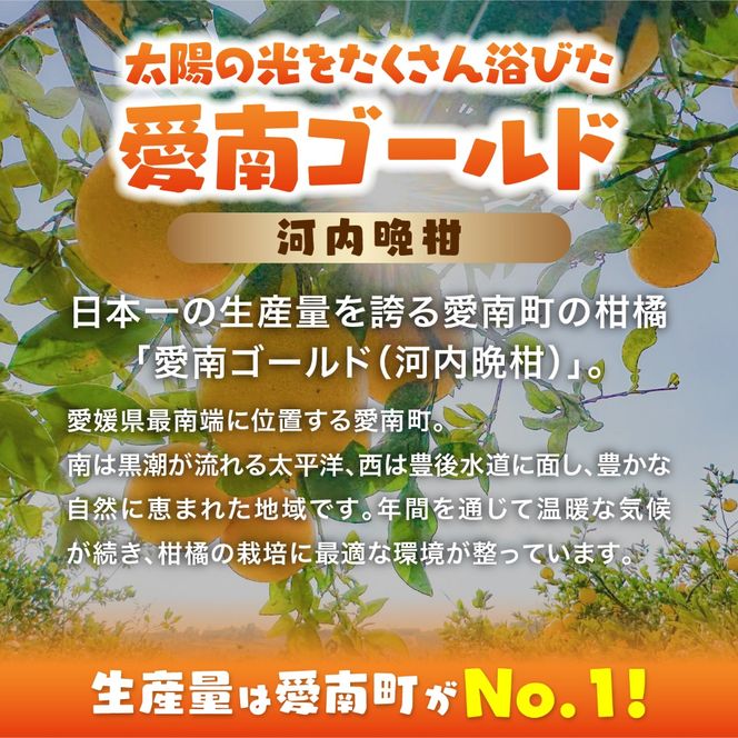 【訳あり】愛南ゴールド（河内晩柑）8kg | 柑橘 訳あり 詰め合わせ 家庭用 みかん かわちばんかん 果物 ジューシー ジュースみたいな果汁 鬼北町 愛南町 箱 送料無料 デザート ※北海道・沖縄・離島への配送不可 ※2026年4月上旬頃より順次発送予定