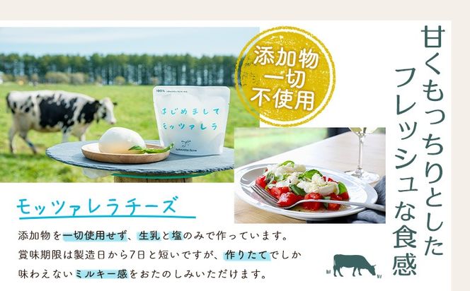 竹下牧場まるごとチーズセット【2400101】