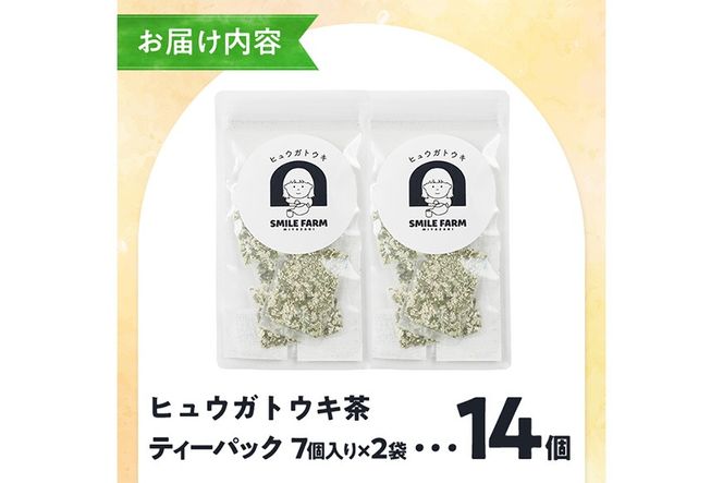 ヒュウガトウキ茶 ティーパック(1.5g×7個×2袋) トウキ茶 お茶 便利 簡単 生薬 ヒュウガトウキ 日本山人参 宮崎県産 国産【SF-04】【SMILE FARM】