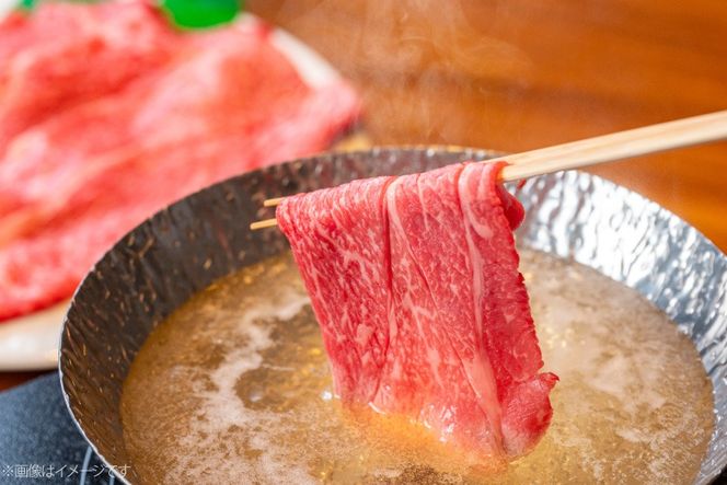 AJ557 【6回定期便】長崎和牛 もも スライス 約1kg (500g×2P) [ 肉 牛肉 和牛 高級 おいしい ステーキ肉 まるしん商会 黒牛 長崎県 島原市 ]