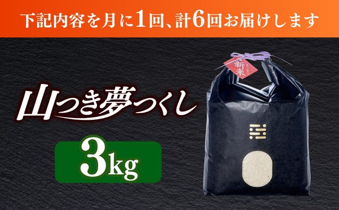 【全6回定期便】  農薬 を使わずに育てた 山つき   夢つくし 3kg【築上町】 / itoshimacco / 株式会社やました[ABEX011]