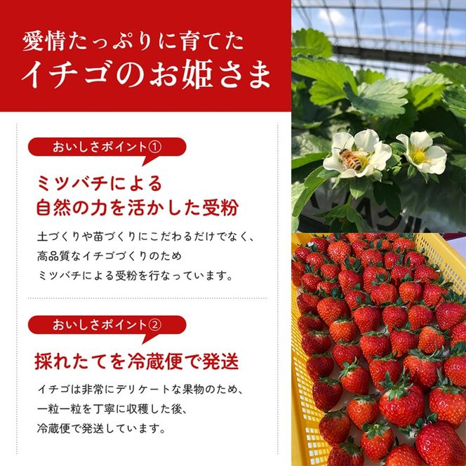 香川讃岐の毎月食べたい定期「さぬきひめいちご 1kg」3ヶ月定期便