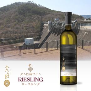 「早池峰の恵み」モリタワイン リースリング2020 ダム貯蔵ワイン 辛口　750ml×1本 【2107】
