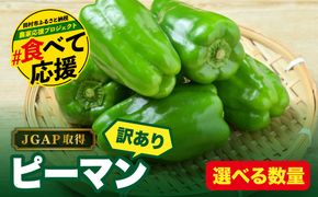 農家さん応援！ 【訳あり】 ピーマン 1kg 2kg 選べる内容量 JGAP取得 農家直送 福島県 田村市 株式会社Mファーム