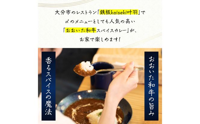 【K03038】おおいた和牛 スパイスカレー 3袋