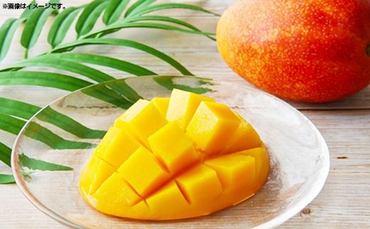 yꌧdzystzy2026NzMKt@[̑pAbv}S[1kgypz- p Mtg s\ ꌧY Yn 썑t[c {̖o Abv}S[ IXX ꌧ d