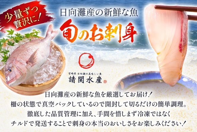 刺身 柵 旬のお刺身 12ケ月 定期便 [請関水産 宮崎県 日向市 452061454] 食べ比べ 冷蔵 詰め合わせ ぶり ヒラメ ひらめ 真鯛 鯛 マダイ タイ カンパチ かんぱち サーモン 鮭