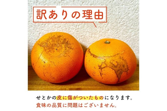 ＜訳あり！＞宮崎県門川町産せとか(約3.5kg)柑橘 果物 数量限定 期間限定 国産 フルーツ 常温保存 遠見半島 宮崎県 門川町【AE-24】【勝農園】