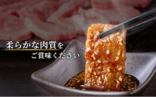 ★お試し★250g　訳あり 飛騨牛 焼き肉用 切り落とし | 牛 牛肉 焼肉 BBQ バーベキュー 切り落とし ※離島への配送不可