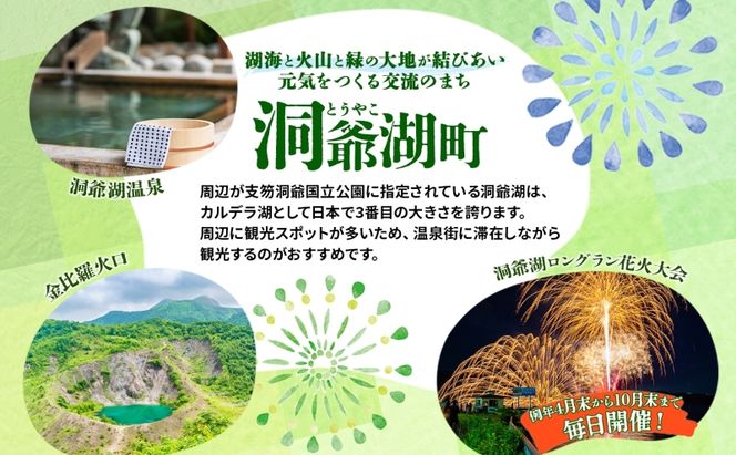 HISふるさと納税宿泊予約専用クーポン（北海道洞爺湖町）【90,000円分】 宿泊 ホテル 観光 