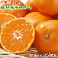 [秀品]和歌山有田みかん約5kg(S～Lサイズ混合)